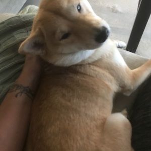 Christmas cheer ❤️xtra gwp on buyit now purchases